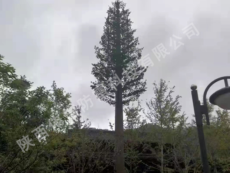 咸阳某景区仿生树避雷塔安装施工三